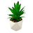 Succulente pot polygone