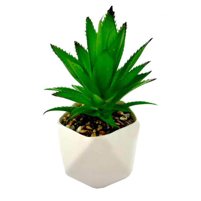 Succulente pot polygone
