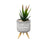 Pot sur pieds avec plante