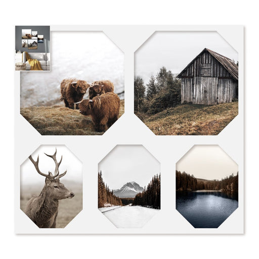 Ensemble de 5 cadres Nature