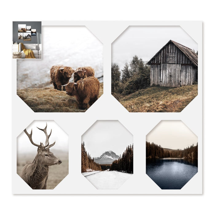 Ensemble de 5 cadres Nature